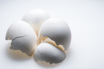 Weiße Eierschalen vor hellem Hintergrund