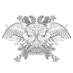 fantastic beetles coloring page