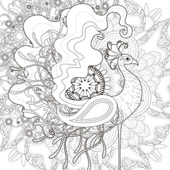 attractive peacock coloring page
