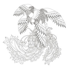 beautiful flying bird coloring page