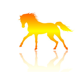 Colorful silhouette of running horse. Vector illustration.
