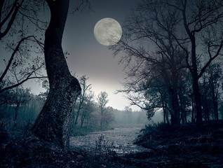Full moon at night - 98898268