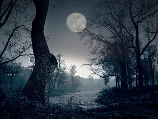 Papier Peint photo autocollant Pleine lune Pleine lune la nuit
