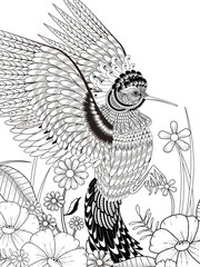 Fototapeta premium lovely hummingbird coloring page