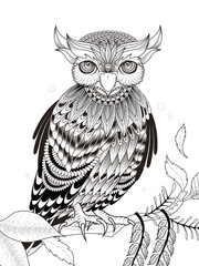 elegant owl coloring page