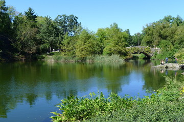 Fototapeta na wymiar The Pond and Gapstow Bridge in Central Park