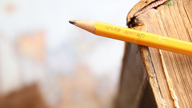 text: Study Abroad