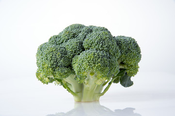 Vegetables broccoli on white background
