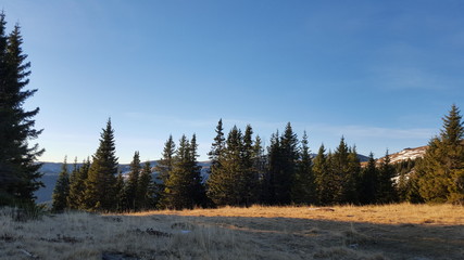Schöne Landschaft auf der Alm