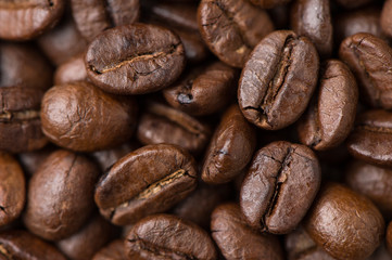Coffee bean.