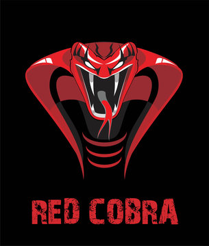 Angry Red King Cobra