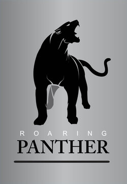 Fearless Panther.