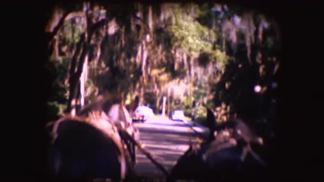 Footage of tourists in Florida being pulled by a horse