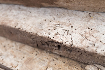 texture of plank wood abstract background can fill text on space and use blurred effect 