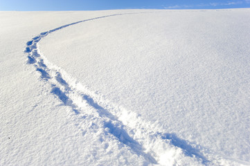 Fußspuren von einem Schneeschuhwanderer im Pulverschnee in Bayern