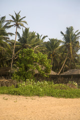 Agonda beach in India