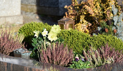 tombe...fleurs
