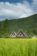 Historical Japanese Village - Shirakawago