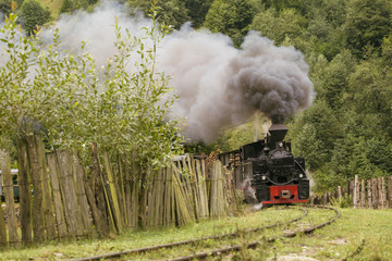 Fototapeta na wymiar Old vintage train in green forest with big smoke