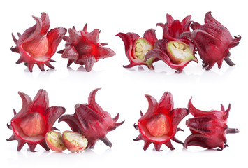 roselle on white background