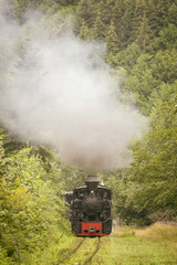 Obraz na płótnie Canvas Vintage old train in green forest