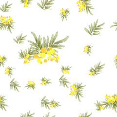 Floral  mimosa retro vintage background