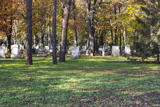Graves with trees