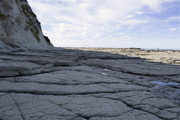 Costa de Kaikoura, Nueva Zelanda