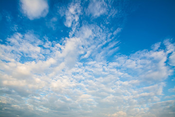 Fototapeta premium blue sky with cloud 