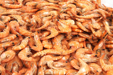 crevettes roses