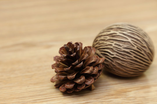 background of pine cone and the suicide tree