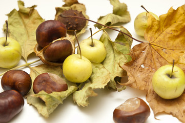 Leaves, apples and chestnuts on a white background