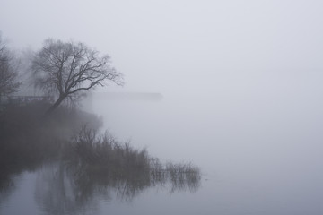 Foggy Landscape