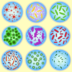 stylized image of colored bacteria