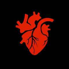 heart vector human red
