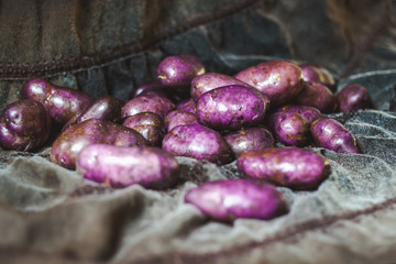Clean potatoes collected in gray fabric