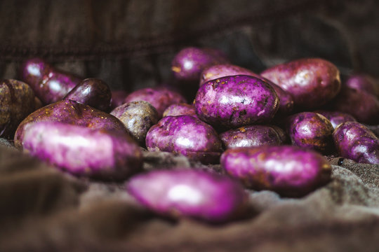 Harvest potatoes in soft tissue