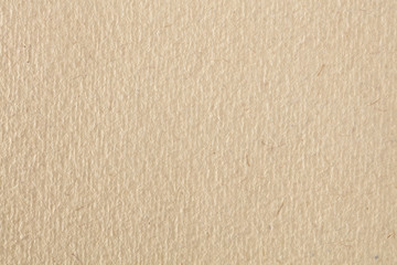 Obraz premium light brown canvas