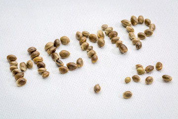 hemp seeds word on canvas