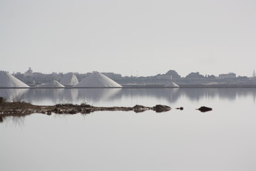 Las Salinas
