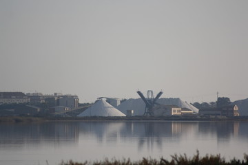 Las Salinas