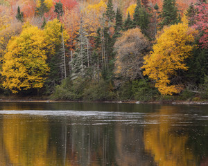 The Colors of Autumn