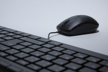 Computer Mouse and Keyboard
