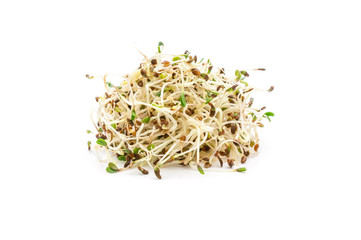 Frische Sprossen