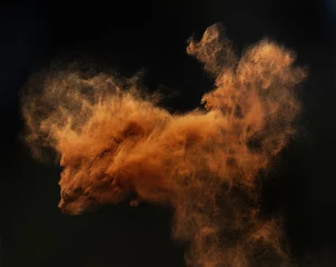 Fototapeten Ingwerwolke eines magischen Staubs © konradbak