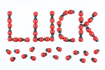 Luck word with wooden ladybug