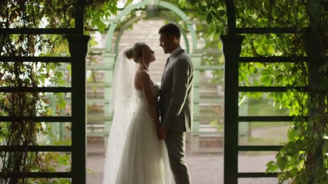 Bride and groom are kissing in a sunny park alley