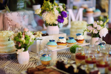 Decorated colorful cupcakes on a dessert table