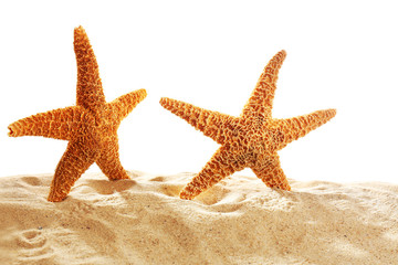 Fototapeta na wymiar Sea stars on sand isolated on white