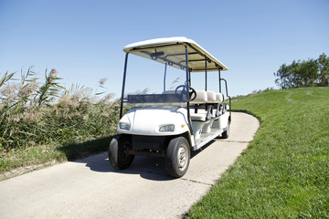 Naklejka premium White golf carts at the green golf course